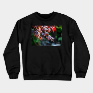 Red maple leaves Crewneck Sweatshirt